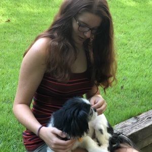 Meet your Posher, Bailey